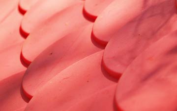 Warners End plastic roof costs